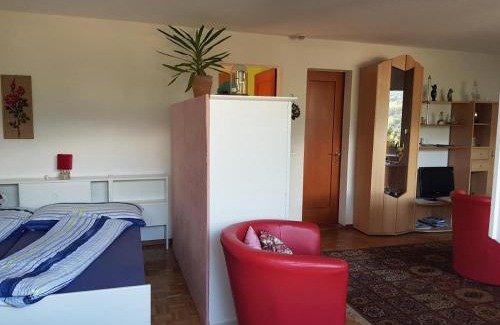 Tscheppach Appartement | Schweizer Haus