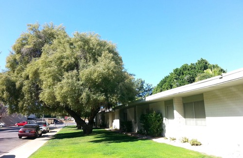Heatherbrae House Copropriété | Richesse abordable de Scottsdale