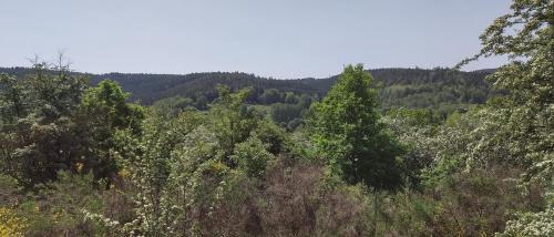 Suhl Maison | Seßles Waldhäusschen Dietzhausen
