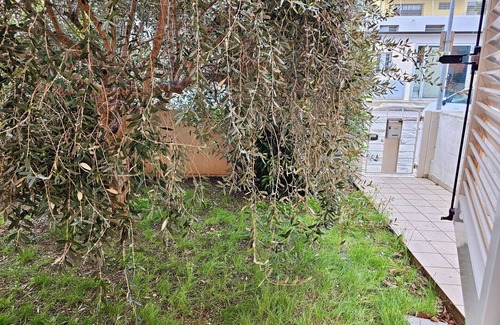 Marotta Appartement | SE052 - Marotta, delightful two-room apartment with garden