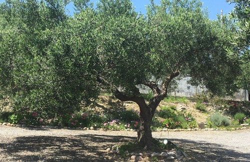 Kissamos Maison | Mer et montagnes. Belle villa avec une vue imprenable