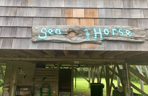 Salvo Maison | SEA HORSE Un chalet de plage de charme