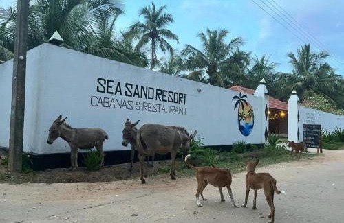 Kudawa Hôtel | Sea Sand Resort