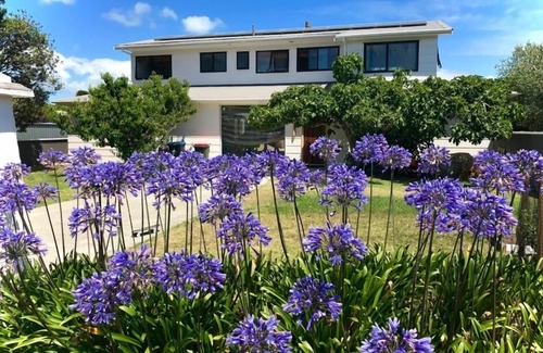 Oneroa Maison | XOX-Factor:) Des vacances pures sur l'île de Waiheke!