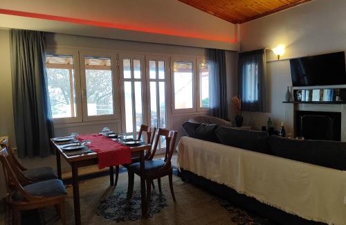 Aigialeia Appartement | Sea View House