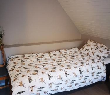 Sund i Lofoten Maison | Sea-view house in Sund
