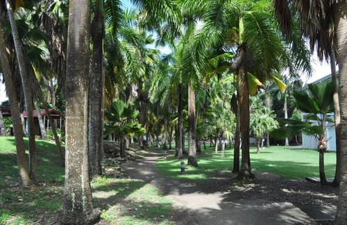Anse des Rochers Appartement | studio vue mer , anse des rochers , saint françois , Guadeloupe
