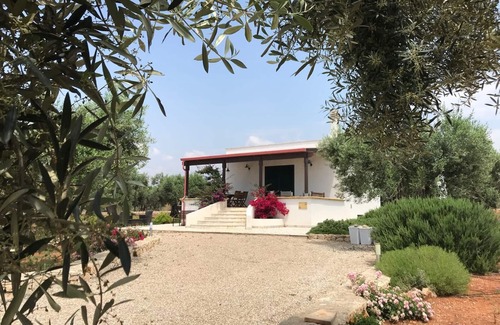 Patu Villa | Vue sur la mer villa située dans une mer de ... d'olive