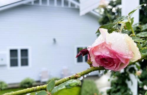 Coffs Harbour Maison | Seabirds Cottage