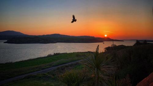 Ardnatrush Maison | Seafront house with own private pier in Gunpoint, Schull, West Cork