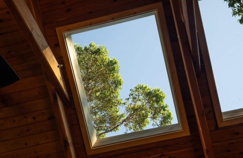 Huskisson Cabine | Seahorse Manor - Huskisson