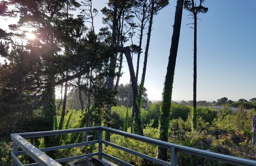 Seal Rock Cottage | Escapade côte magnifiquement rénové