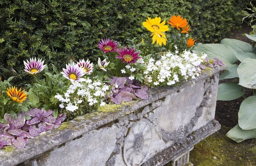 Glenisla Appartement | Seasyde House - Garden View