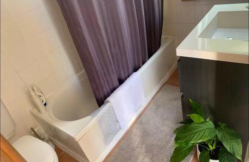 Miramar Maison | Seatoun Seaview