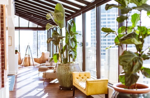 Downtown Seattle Hôtel | Seattle Chic: Spacious, Contemporary Rooms in City's Vibrant Downtown