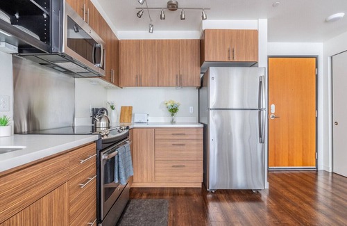 Mann Appartement | Seattle's modern and stylish Penthouse Apartment- Wifi, Pet Friendly, Rooftop