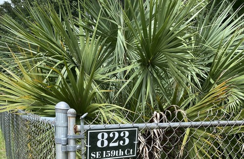 Ocklawaha Cabine | Secluded Cabin #2 in the Woods Close to Everything