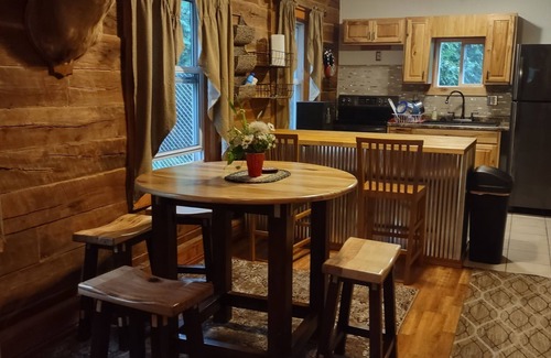 Chetek Cabine | Secluded cabin in the woods-UTV, hunting, fishing, pet friendly