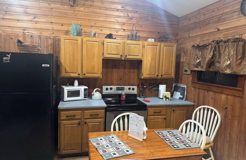 Dushore Cabine | Secluded Cabin outside of Dushore
