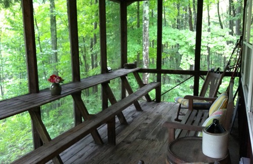 Hartwick Cabine | Secluded Cabin Nestled In The Trees Overlooking Fishing & Canoe Pond