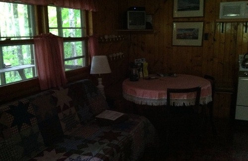 Hartwick Cabine | Secluded Cabin Nestled In The Trees Overlooking Fishing & Canoe Pond