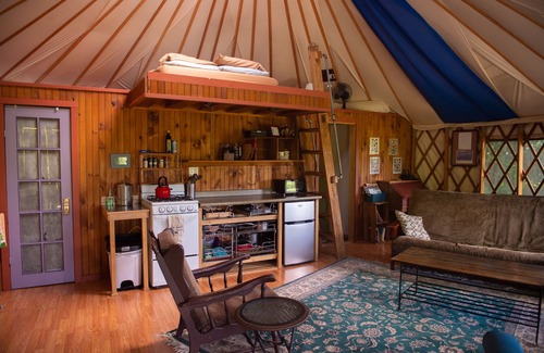 Trumansburg Cabine | Yourte Clean Yourte, niché en privé dans les bois et les jardins