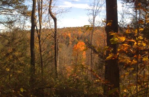 Mehoopany Chalet De Ski | Secluded in the Woods Cedar Hot Tub Pet Friendly