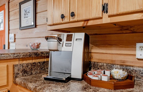 Jenkinsville Cabine | Secluded Log Cabin on Lake Monticello
