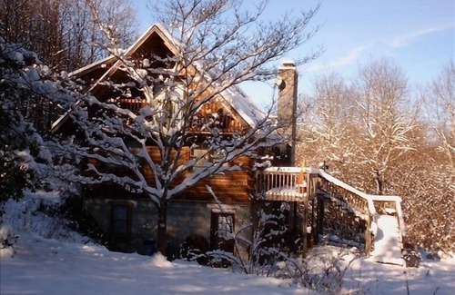 Dailey Cabine | Isolement sur 46 acres privés - Maison confortable en bois rond
