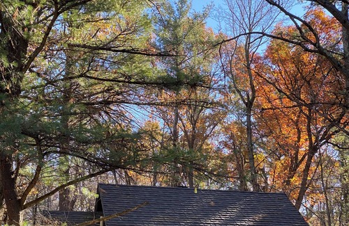 New London Cabine | Secluded Quiet Cabin with Sauna
