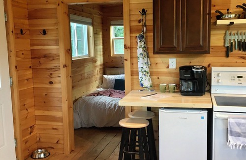 Goshen Cabine | Secluded Tiny Cabin Screened Porch Sleeps 4 - Goshen Springs Getaway