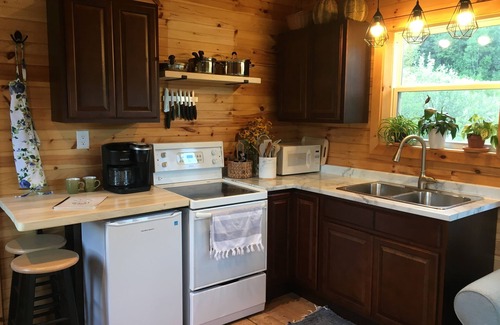 Goshen Cabine | Secluded Tiny Cabin Screened Porch Sleeps 4 - Goshen Springs Getaway