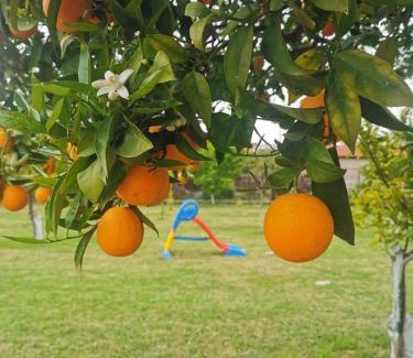 Temeni Appartement | Secret Garden