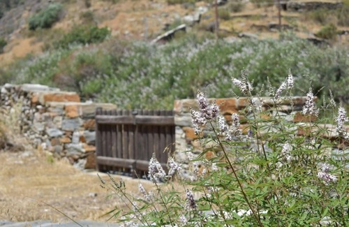 Kea Maison | Secret isolated stone house in Kea 2' away from the beach