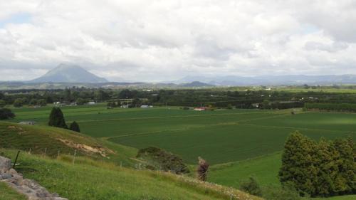 Te Teko Lit Et Petit-Déjeuner | Secret Lake Farmstay