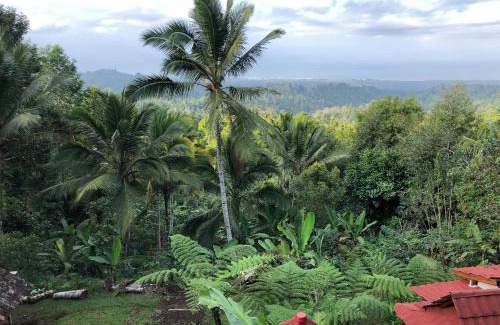 Pekutatan Maison | Sedana Yoga Resort
