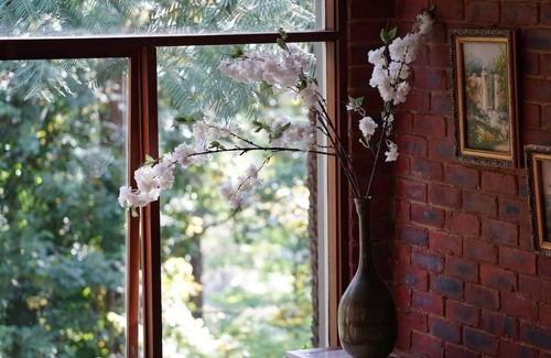 Sassafras Cabine | Seednest Treehouse | Forest & Mountain View