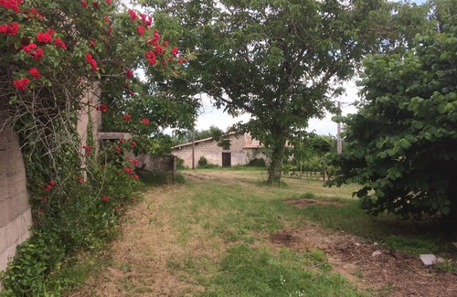 Savignac-de-l'Isle Cottage | Gîte indépendant aux portes de SAINT EMILION