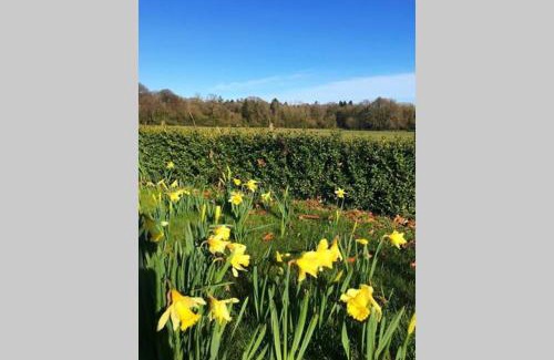 Ballyedmond Maison | Self Catering - Gardeners Cottage