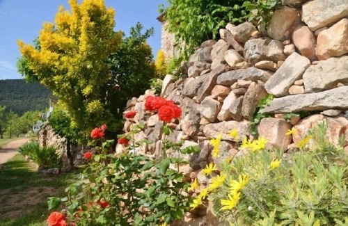 Alcover Cottage | Self catering Mas de Vilella for 15 people