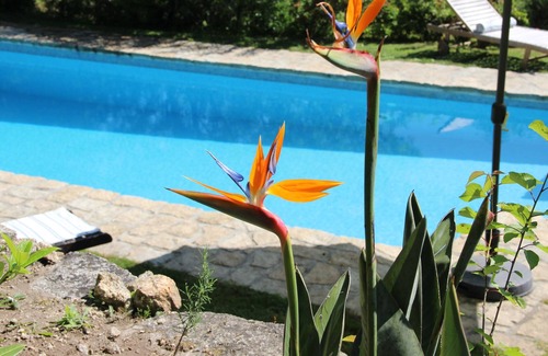 Couto de Esteves Cottage | Gîte Quinta do Gigante - Ecofarm pour 5 personnes