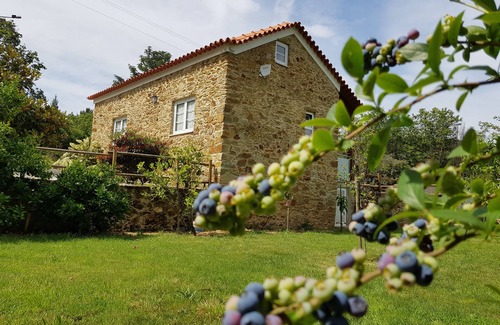 Sever do Vouga Cottage | Gîte Quinta do Sobreiral pour 4 personnes