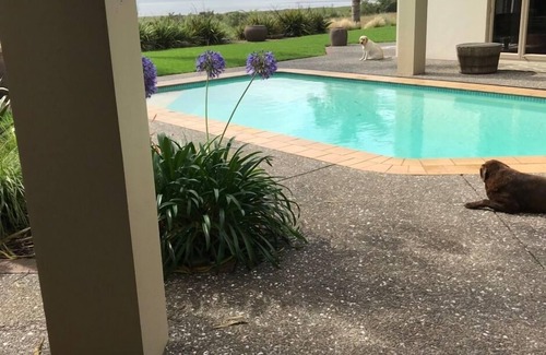 Tanners Point Cottage | Cottage indépendant à côté de la piscine.
