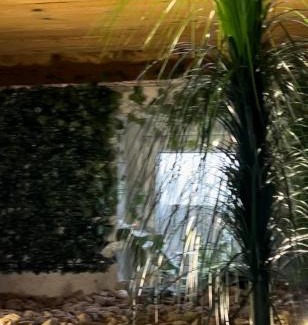 Sfantu Gheorghe Appartement | Sepsi Corner
