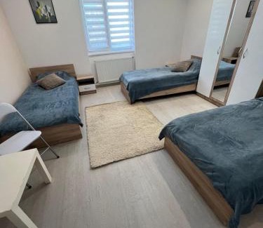 Sfantu Gheorghe Appartement | Sepsi Corner