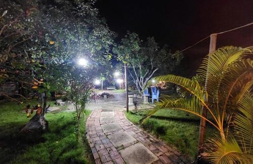 Cat Hai Maison | Serena Cat Ba homestay