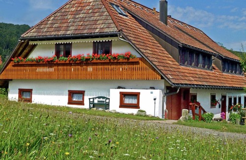 Hennenmatt Appartement | Serene Apartment in Rickenbach near Ski Lift