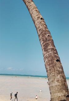 Bamburi Appartement | Serene Luxury Seaview Homestay Nyali Msa