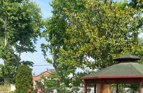 Samanl Villa | Serene Luxury Villa with Private Pool in Yalova