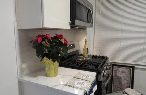South Oakland Appartement | Serene Retreat in the Heart of Pittsburgh Oakland